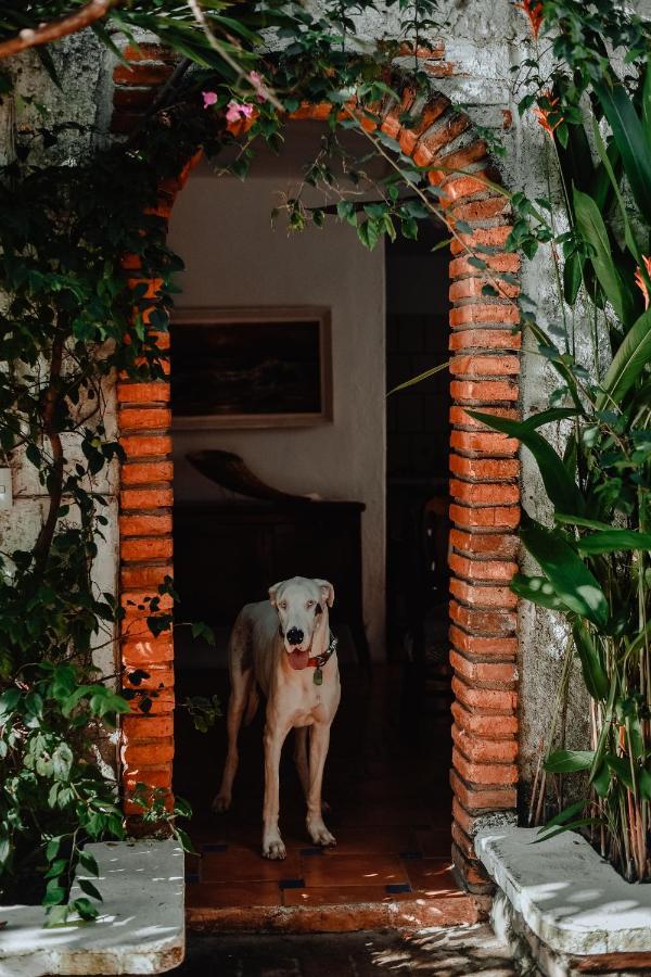 Hosteria Chata Adults Only Lo de Marcos Exterior foto